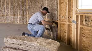 Best Wall Insulation Installation  in Cleary, MS